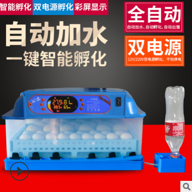 伊科貝特孵化機(jī)全自動(dòng)家雞鴨鵝72枚小型孵蛋器智能控溫可定制110V