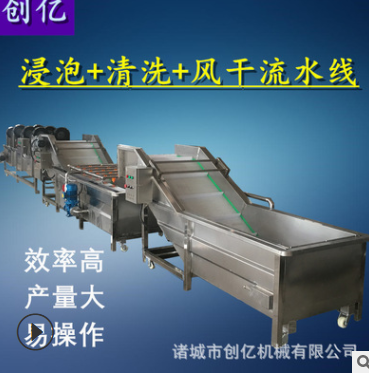 蔬菜浸泡式清洗風(fēng)干線 不銹鋼全自動(dòng)洗菜機(jī) 果蔬氣泡清洗機(jī)廠家