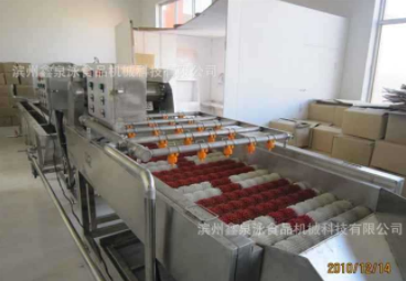 供應不銹鋼紅棗清洗機 紅棗清洗生產(chǎn)線 廠價直銷紅棗選果機