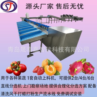 全自動選果機 水果重量分選機 直線滾輪果蔬分級機 源頭生產(chǎn)廠家