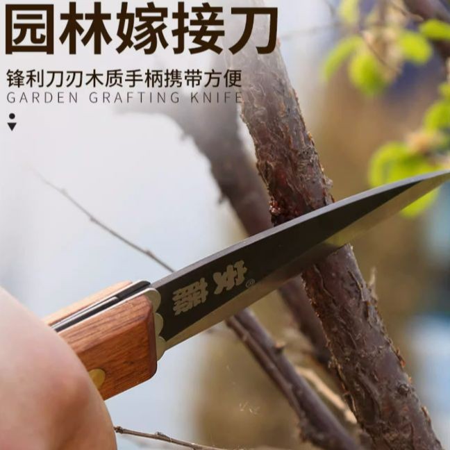臺(tái)灣安藤園林園藝工具 AT-A408苗木嫁接刀果樹(shù)稼接工具折疊芽接刀