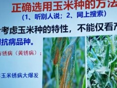 農(nóng)業(yè)創(chuàng)業(yè)知識(shí)