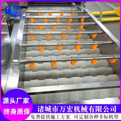 小型果蔬清洗機(jī) 胡蘿卜 蘋果清洗風(fēng)干線 提升式臭氧清洗設(shè)備